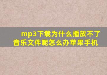 mp3下载为什么播放不了音乐文件呢怎么办苹果手机