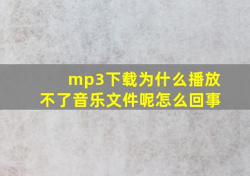 mp3下载为什么播放不了音乐文件呢怎么回事