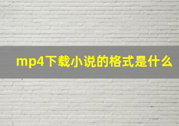 mp4下载小说的格式是什么