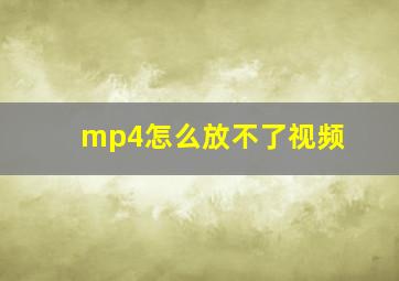 mp4怎么放不了视频