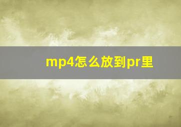 mp4怎么放到pr里