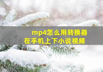 mp4怎么用转换器在手机上下小说视频