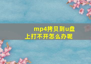 mp4拷贝到u盘上打不开怎么办呢