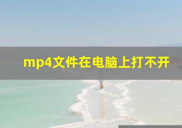 mp4文件在电脑上打不开