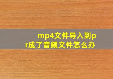 mp4文件导入到pr成了音频文件怎么办