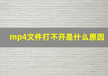 mp4文件打不开是什么原因