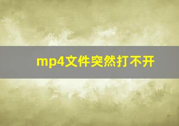 mp4文件突然打不开