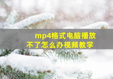 mp4格式电脑播放不了怎么办视频教学