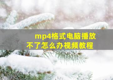 mp4格式电脑播放不了怎么办视频教程