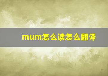 mum怎么读怎么翻译