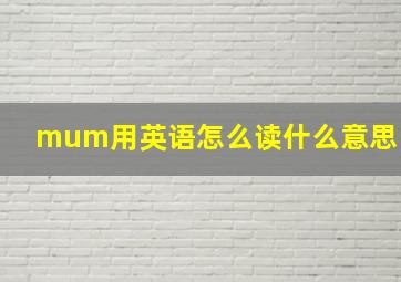 mum用英语怎么读什么意思