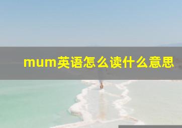 mum英语怎么读什么意思