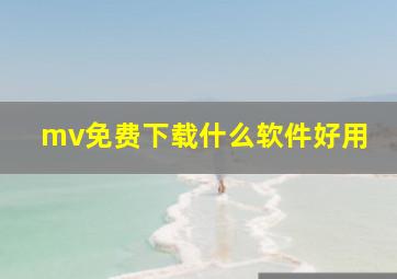 mv免费下载什么软件好用