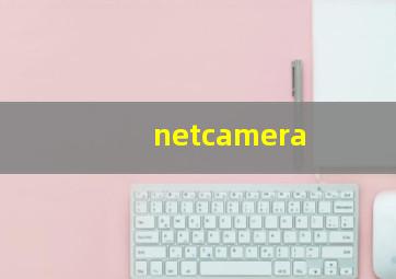 netcamera