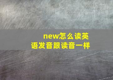 new怎么读英语发音跟读音一样