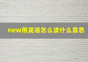 new用英语怎么读什么意思