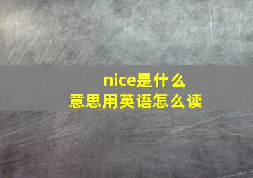 nice是什么意思用英语怎么读