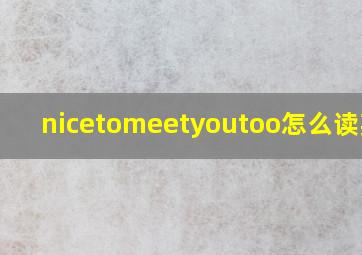 nicetomeetyoutoo怎么读英语