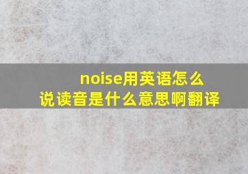 noise用英语怎么说读音是什么意思啊翻译