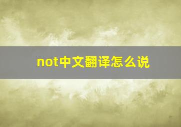 not中文翻译怎么说