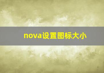 nova设置图标大小