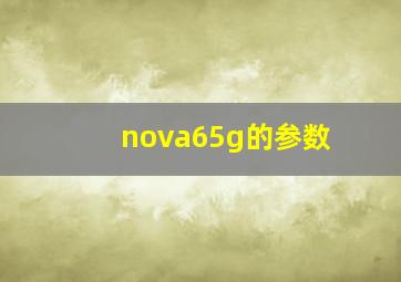 nova65g的参数