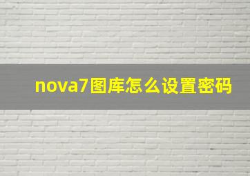 nova7图库怎么设置密码