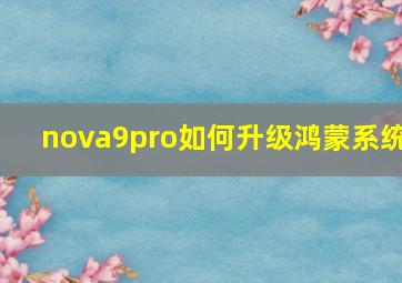 nova9pro如何升级鸿蒙系统