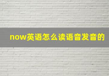 now英语怎么读语音发音的