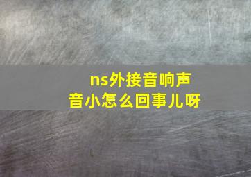 ns外接音响声音小怎么回事儿呀