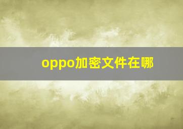 oppo加密文件在哪