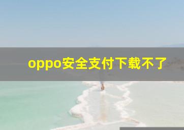 oppo安全支付下载不了