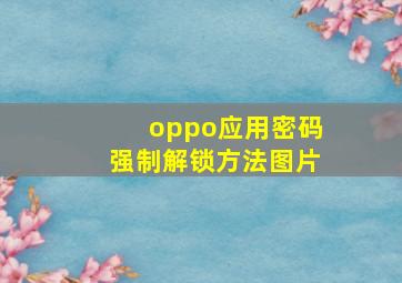 oppo应用密码强制解锁方法图片