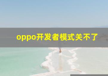 oppo开发者模式关不了