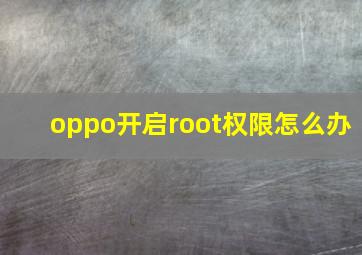 oppo开启root权限怎么办