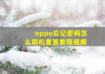 oppo忘记密码怎么刷机重置教程视频