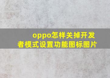 oppo怎样关掉开发者模式设置功能图标图片