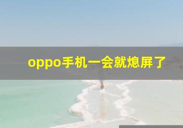 oppo手机一会就熄屏了