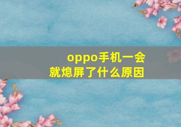 oppo手机一会就熄屏了什么原因