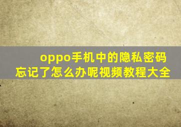 oppo手机中的隐私密码忘记了怎么办呢视频教程大全