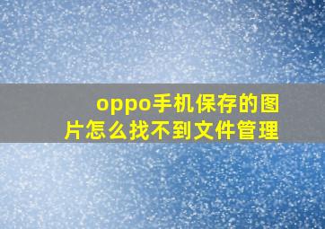 oppo手机保存的图片怎么找不到文件管理