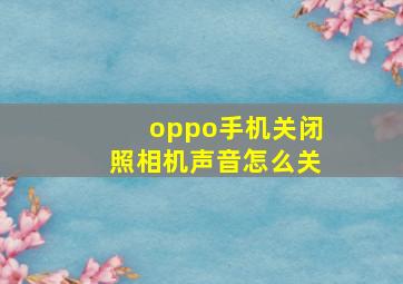 oppo手机关闭照相机声音怎么关