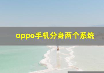 oppo手机分身两个系统