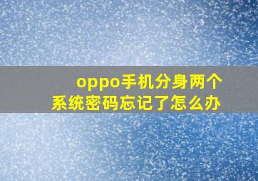 oppo手机分身两个系统密码忘记了怎么办