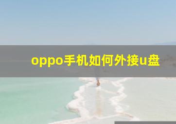 oppo手机如何外接u盘