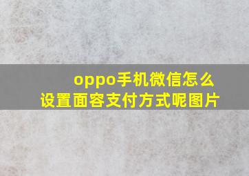 oppo手机微信怎么设置面容支付方式呢图片