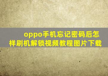 oppo手机忘记密码后怎样刷机解锁视频教程图片下载