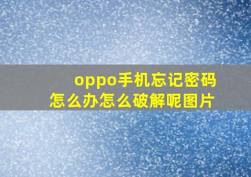 oppo手机忘记密码怎么办怎么破解呢图片