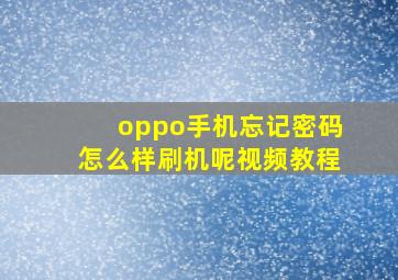 oppo手机忘记密码怎么样刷机呢视频教程