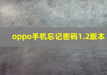 oppo手机忘记密码1.2版本